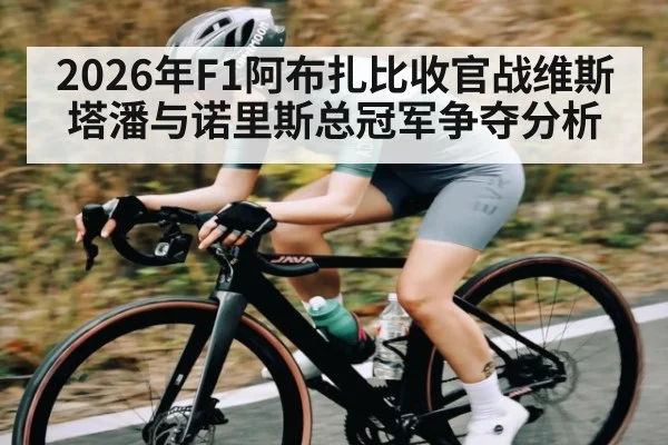 2026年F1阿布扎比收官战维斯塔潘与诺里斯总冠军争夺分析